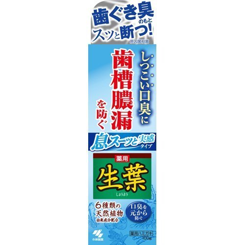 生葉Ｉ　息スーッと実感 １００ｇ | 小林製薬