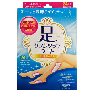 ＣＪリフレッシュシート ２４枚 | 帝国ファルマケア