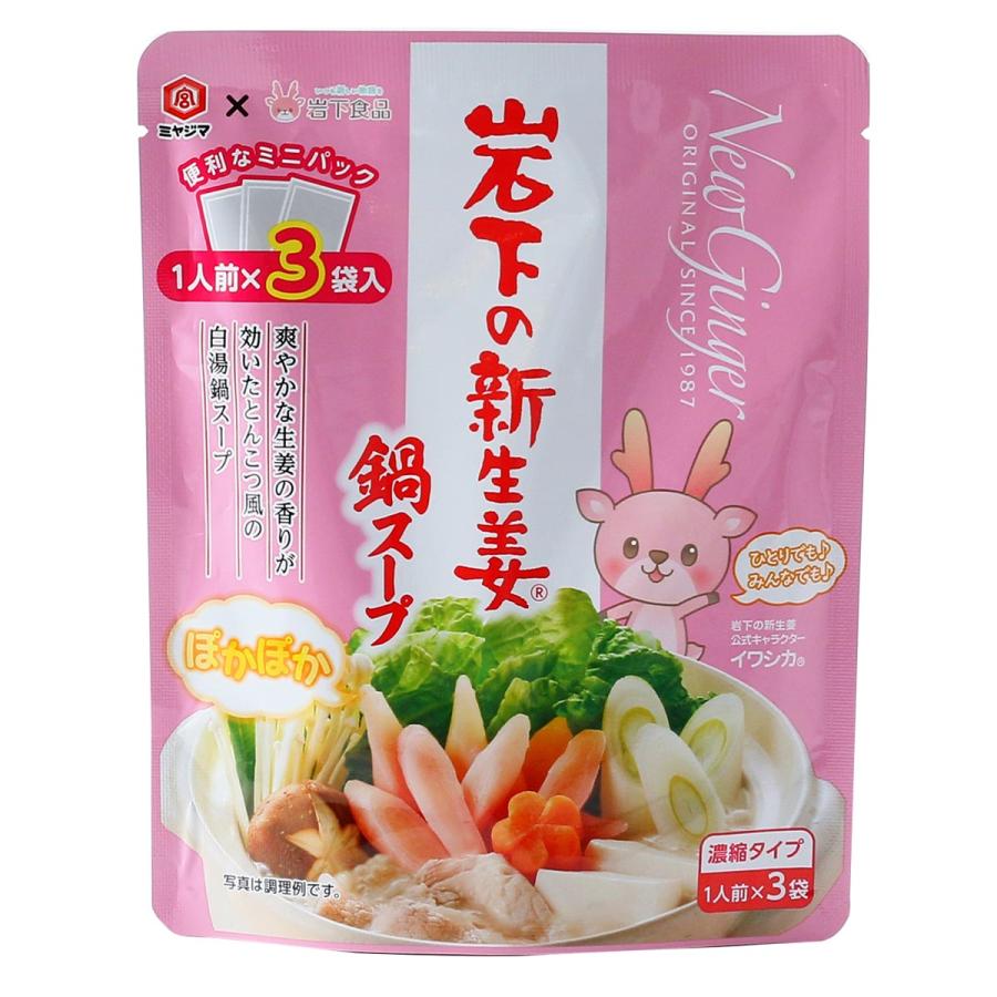 岩下の新生姜鍋スープミニパック ３０ｇ×３個 | 宮島醤油