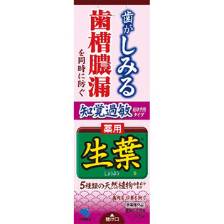 生葉　知覚過敏予防タイプ １００ｇ | 小林製薬