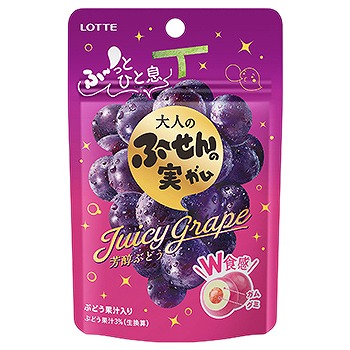 大人のふ～せんの実＜芳醇ぶどう＞ ２６ｇ | ロッテ