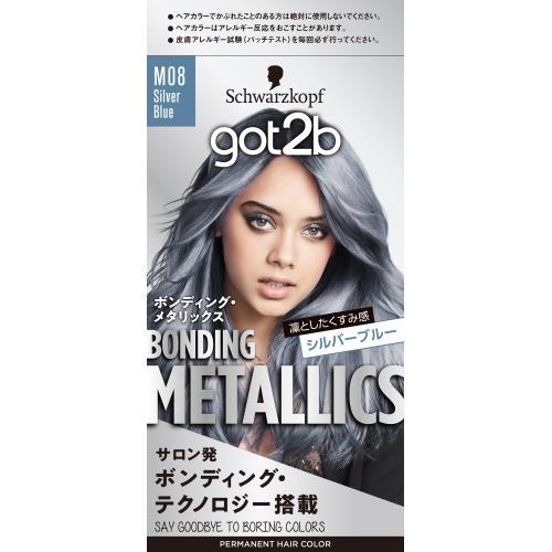 Ｇ２ＢＢＭ　シルバーブルー ５５ｇ+１１０ｍｌ+１５ｇ | シュワルツコフH