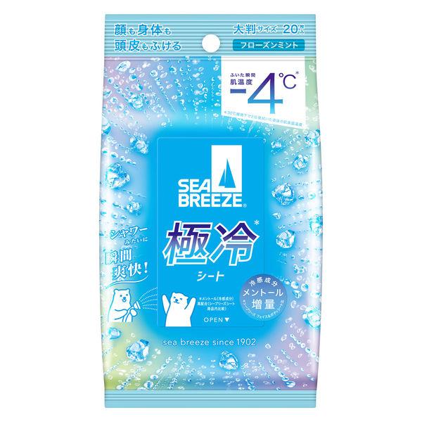 ＳＢアイスシャワー　ミント ２０枚 | ファイントゥディ
