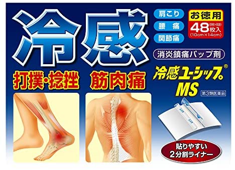 冷感パスマンハップＭＳ ４８枚 | 大石膏盛堂