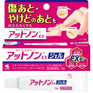 【第2類医薬品】アットノン １５ｇ | 小林製薬