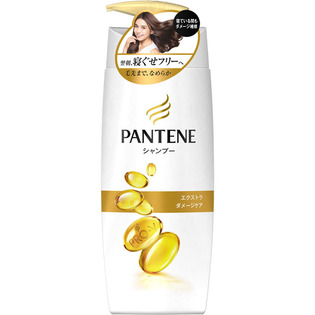 ＰＴ　ＥＸダメージケア　シャンプーポンプ ４５０ｍｌ | P&G