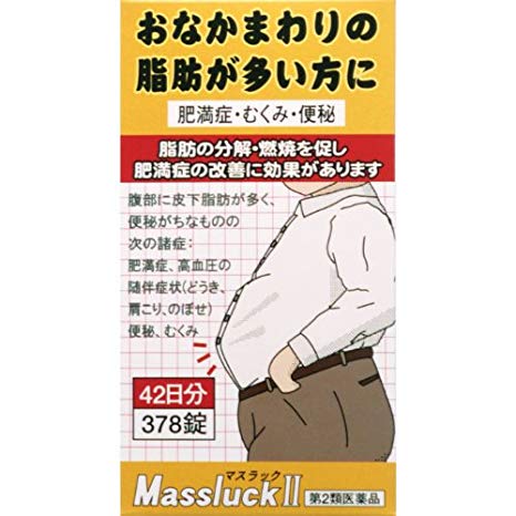 マスラックⅡ ２７０錠 | 阪本漢方