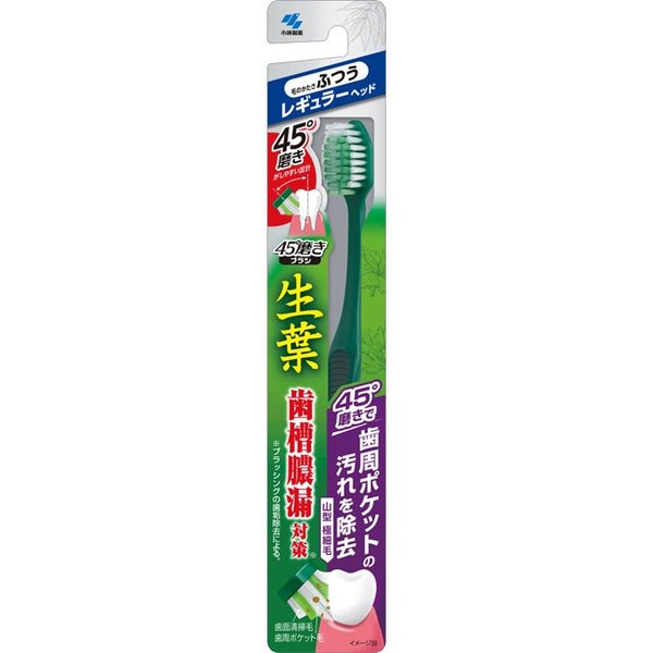 生葉４５°磨きブラシレギュラーふつう １本 | 小林製薬