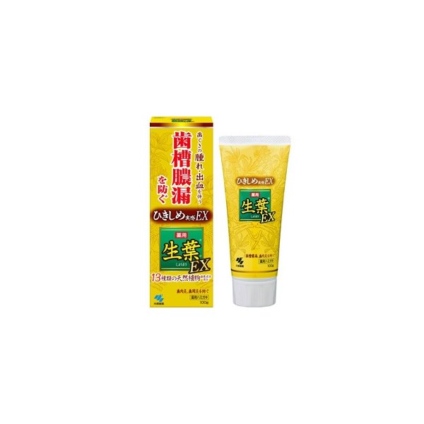 在庫状況】生葉EX 100g | 小林製薬取扱店舗 - EPARKくすりの窓口