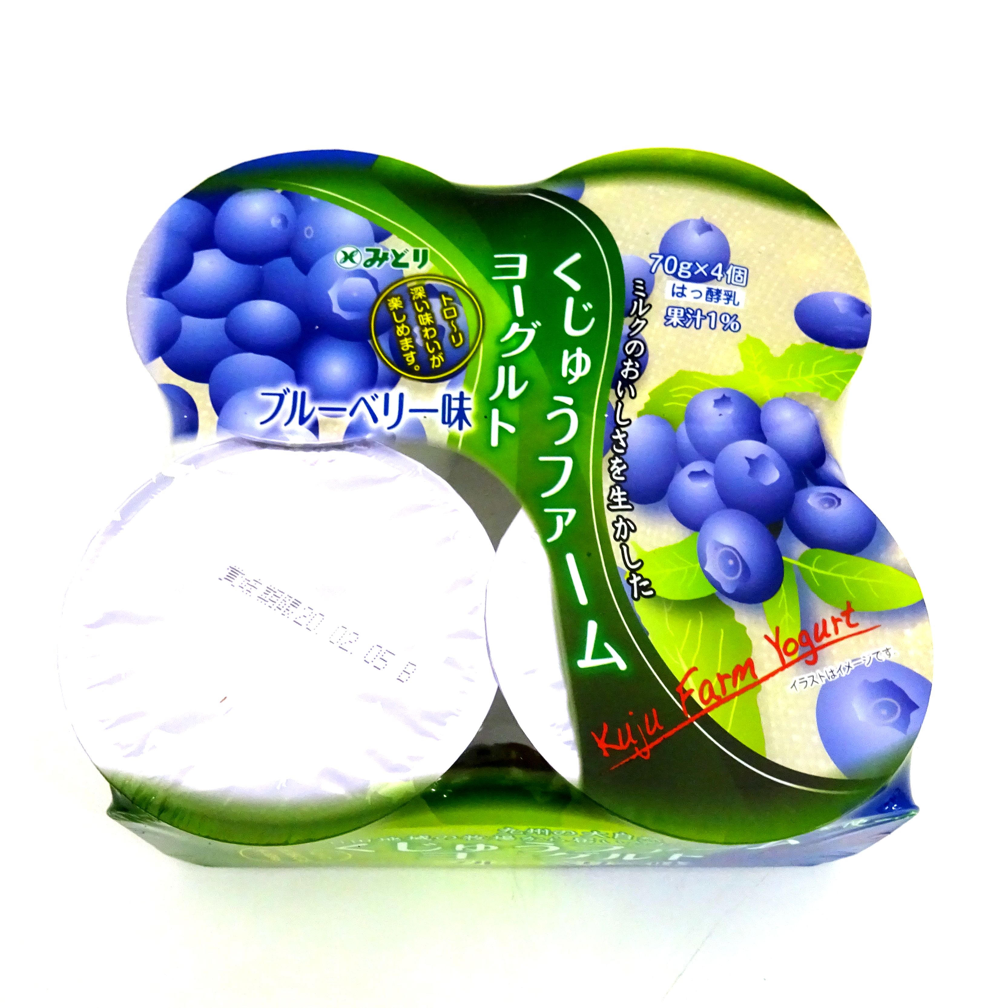 くじゅうファームＹＯブルーベリー ７５ｇ×４ | みどり