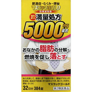マスラックＧＯＬＤ ３８４錠 | 阪本漢方