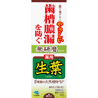 生葉ｍ無研磨タイプ ９５ｇ | 小林製薬