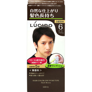 ＬＣワンプッシュケアカラーＤブラウン １錠５０ｇ２錠５０ｇ | マンダム