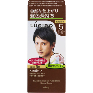 ＬＣワンプッシュケアカラーＮブラウン １錠５０ｇ２錠５０ｇ | マンダム