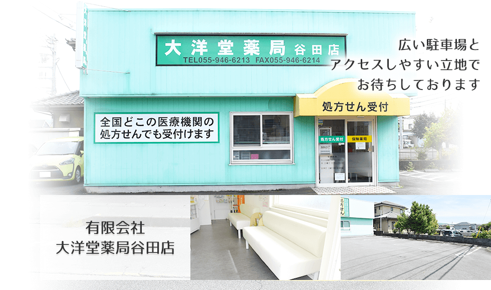 有限会社　大洋堂薬局谷田店