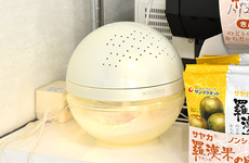 感染症対策に取り組んでおります。