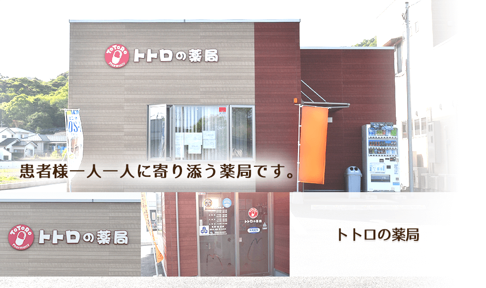 トトロの薬局