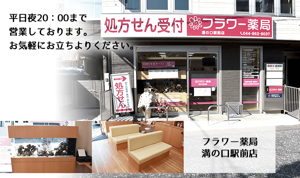 フラワー薬局溝の口駅前店