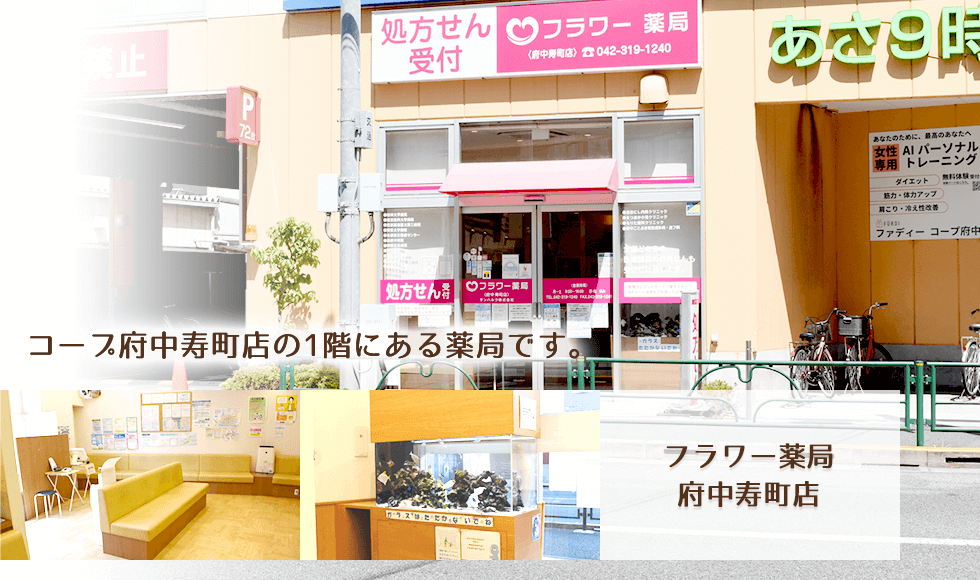 フラワー薬局　府中寿町店