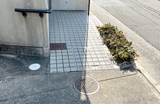 バリアフリーに対応しております