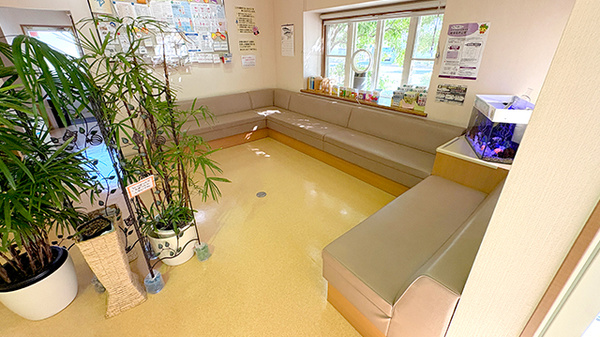 明るく清潔感のある待合スペースがございます。