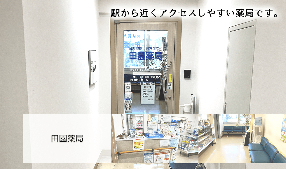 田園薬局