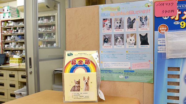 保護犬・保護猫のための活動も行っております。