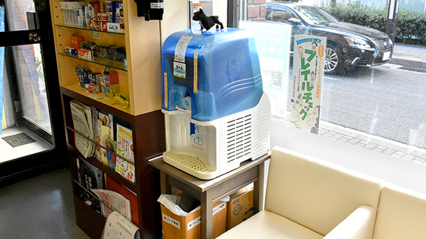 フリードリンクをご利用いただけます。																				