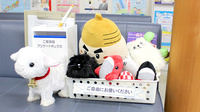 とちぎ薬局　鹿沼中央店のキッズ用品