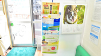 幸生堂薬局 上野芝店の冊子