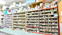 幸生堂薬局 上野芝店の薬棚