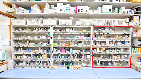 幸生堂薬局 東今里店の薬棚