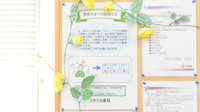 フタツカ薬局　みたに店の一包化対応