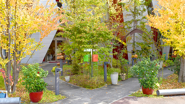 大手町薬局　メディカルクレオの入口