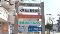 イルカ薬局の看板