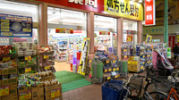 スギ薬局　蒲生店の入口