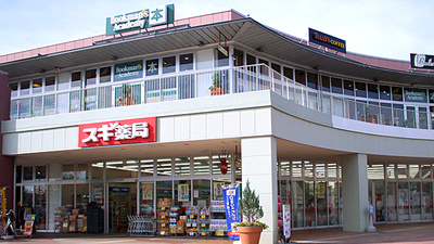 スギ薬局　高崎飯塚店の外観