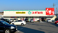スギ薬局　野立橋店の外観