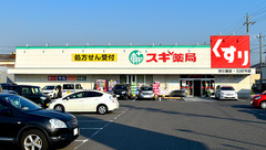スギ薬局　野立橋店の外観
