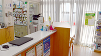 スギ薬局　野立橋店の受付/カウンター