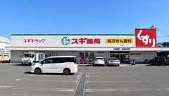 スギ薬局　油屋店の外観