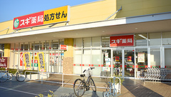スギ薬局　相模原下九沢店の外観
