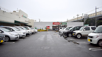 スギ薬局　茅ヶ崎香川店の駐車場