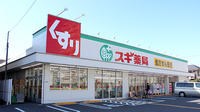 スギ薬局　平塚店の外観