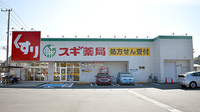 スギ薬局　新橋町店の外観