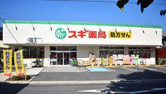 スギ薬局　板橋幸町店の外観