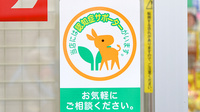 スギ薬局　三国駅前店の認知症サポーター