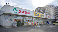 スギ薬局　新白岡店の外観