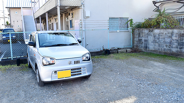 しあわせ薬局　済美店の駐車場