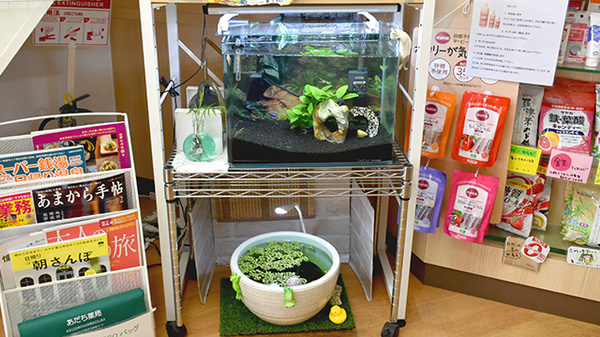 あだち薬局のその他